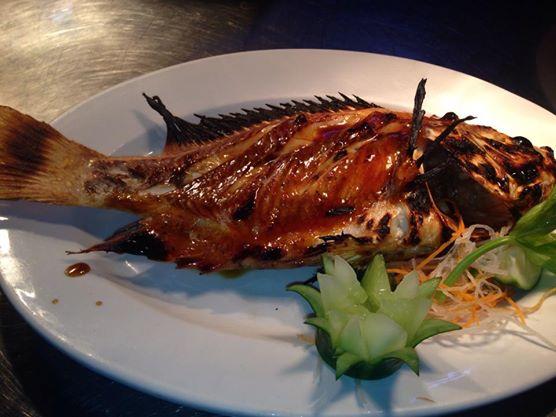 Tilapia
