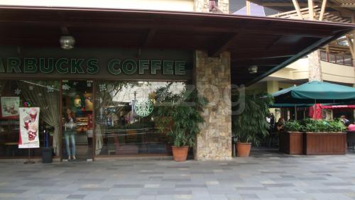 Starbucks Coffee 