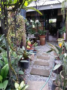 the path
