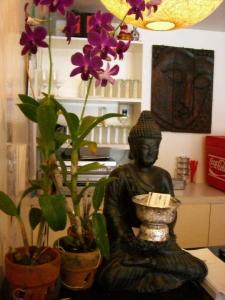 buddha