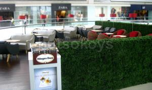 moa-haagen dazs
