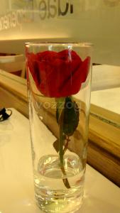 rose swensens