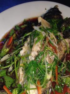 Steamed Lapu Lapu in Oyster sauce