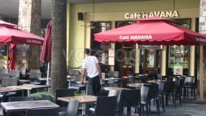cafe havana greebelt 3