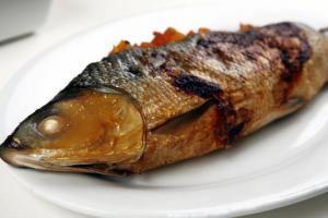 fish