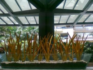 mesa outdoor design