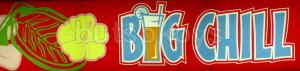 bigchill logo