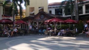 the coffee bean and tea leaf