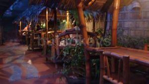 outdoor2.JPG
