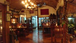 lotus-palawan.JPG