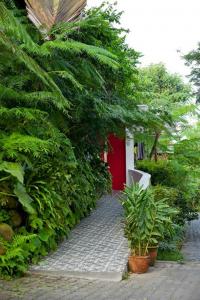 outdoor
