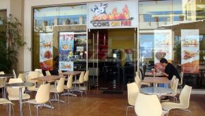 cows on fire - tagaytay