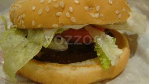 Whooper jr