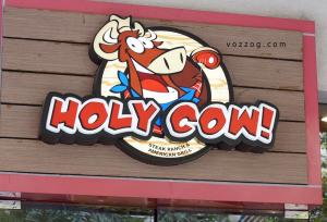 Holy Cow