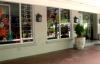 Cafe Platito atbp.