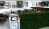 Haagen-Dazs Café