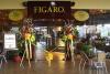 Figaro Coffee Company