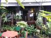 Concha's Garden Cafe