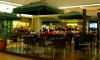 Starbucks Coffee