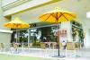 Figaro coffee company