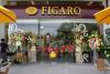 Figaro coffee company