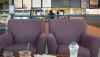 Starbucks Coffee