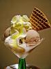 Yummy GELATO