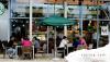Starbucks Coffee