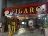 Figaro Coffee Company